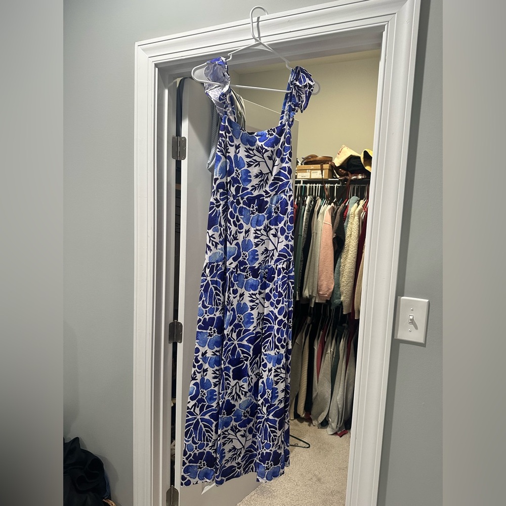 Kenny Flowers Blue and White Floral Maxi Dress